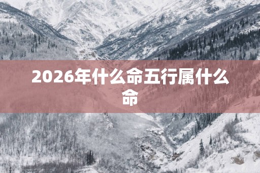 2026年什么命五行属什么命