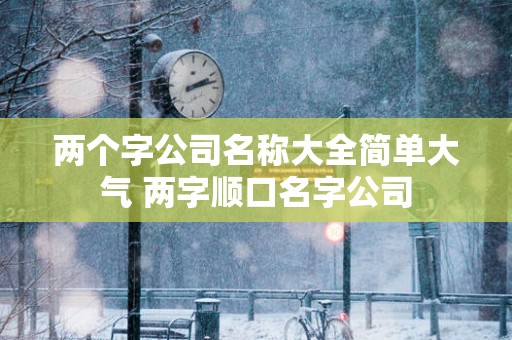 两个字公司名称大全简单大气 两字顺口名字公司