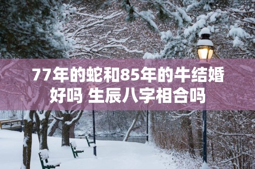 77年的蛇和85年的牛结婚好吗 生辰八字相合吗