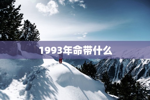 1993年命带什么