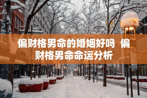 偏财格男命的婚姻好吗  偏财格男命命运分析