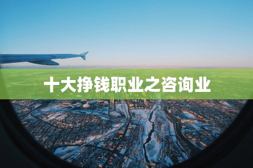 十大挣钱职业之咨询业