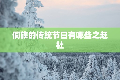 侗族的传统节日有哪些之赶社