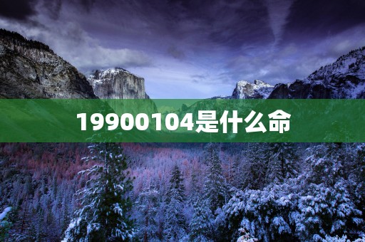 19900104是什么命