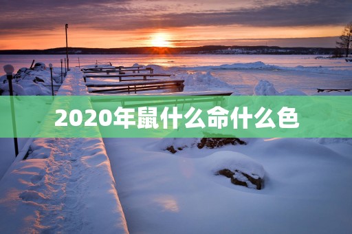2025年鼠什么命什么色