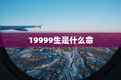 19999生是什么命