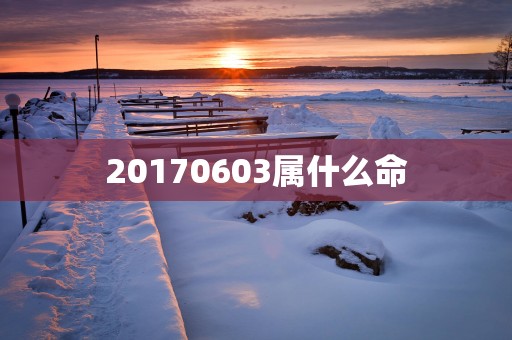 20170603属什么命