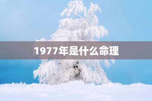 1977年是什么命理