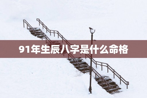 91年生辰八字是什么命格