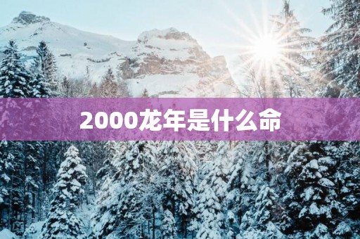 2000蛇年是什么命