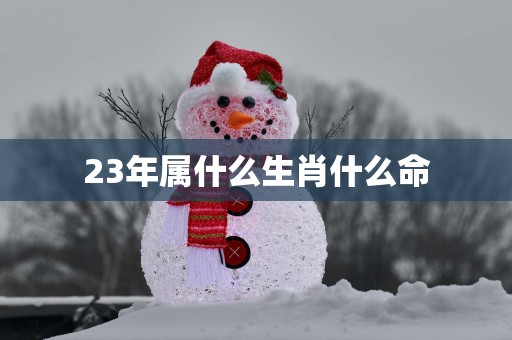 23年属什么生肖什么命