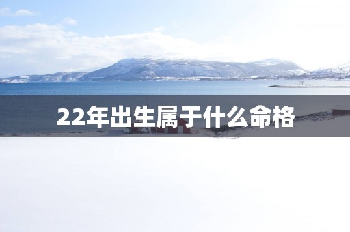 22年出生属于什么命格