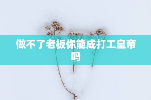 做不了老板你能成打工皇帝吗