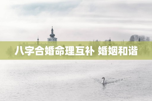 八字合婚命理互补 婚姻和谐
