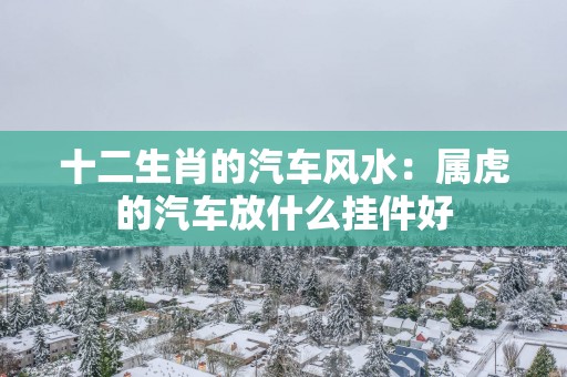 十二生肖的汽车风水：属虎的汽车放什么挂件好