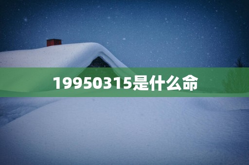 19950315是什么命