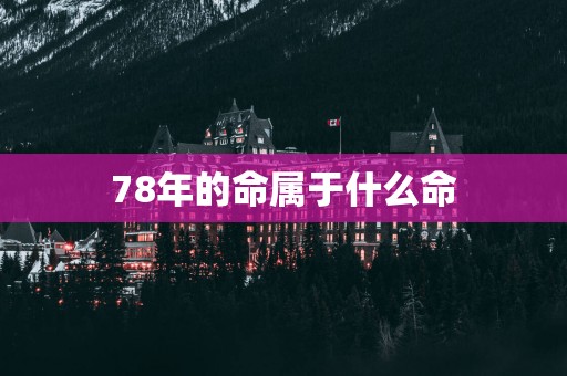 78年的命属于什么命