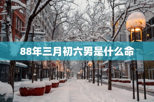88年三月初六男是什么命
