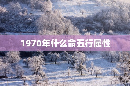 1970年什么命五行属性