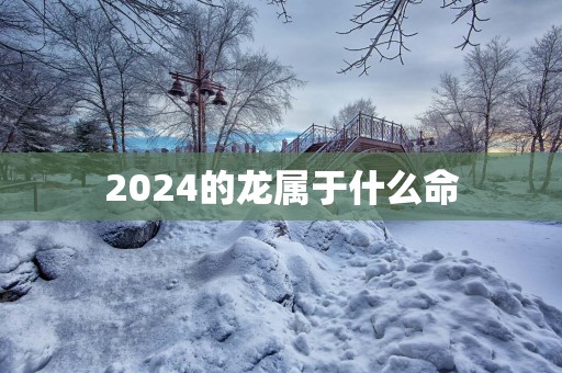 2025的龙属于什么命