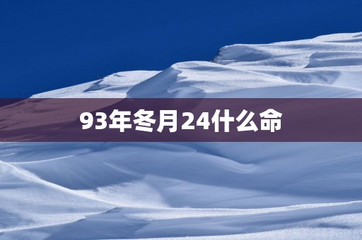 93年冬月24什么命