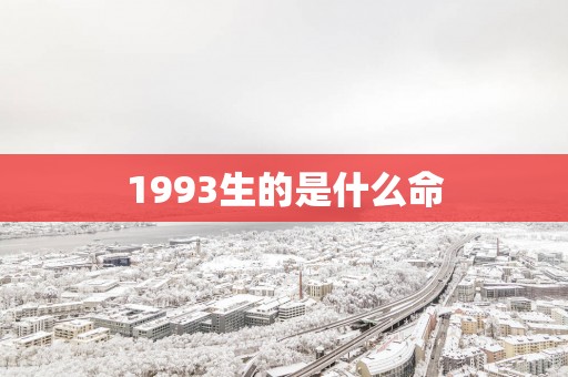 1993生的是什么命