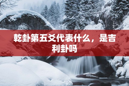 乾卦第五爻代表什么，是吉利卦吗