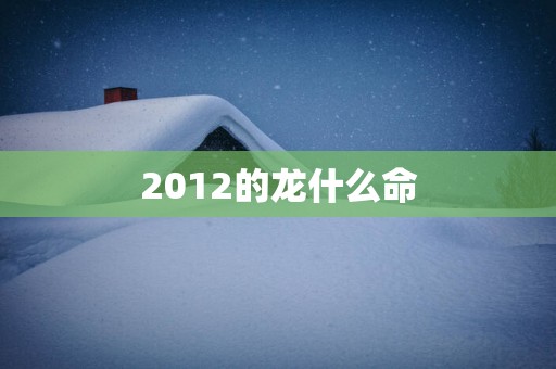 2012的龙什么命