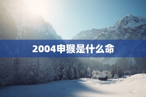 2004申猴是什么命