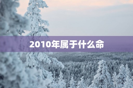 2010年属于什么命