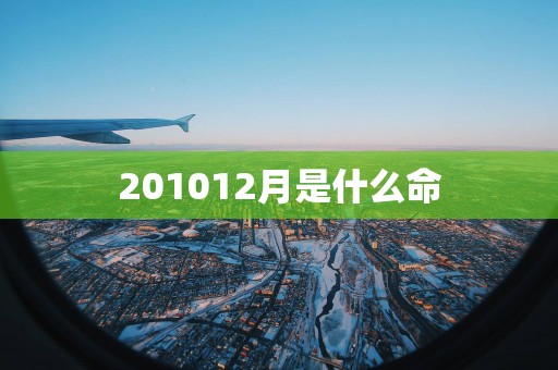 201012月是什么命