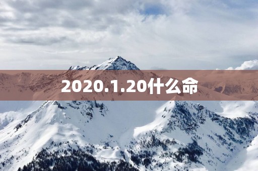 2025.1.20什么命