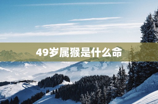 49岁属猴是什么命