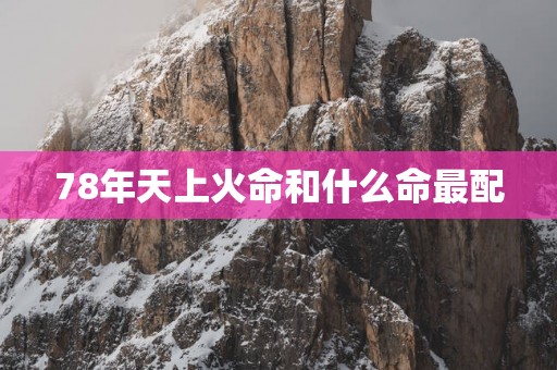78年天上火命和什么命最配