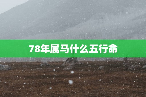 78年属马什么五行命