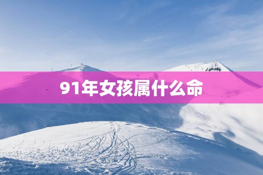 91年女孩属什么命