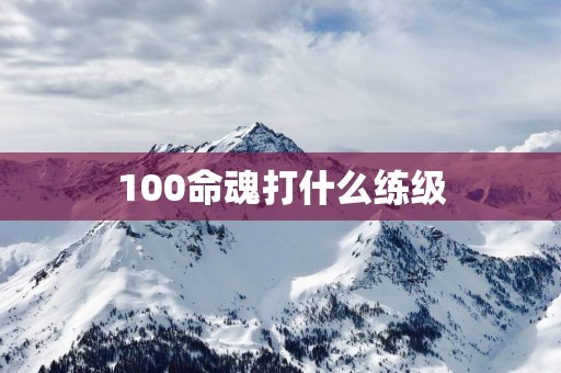 100命魂打什么练级