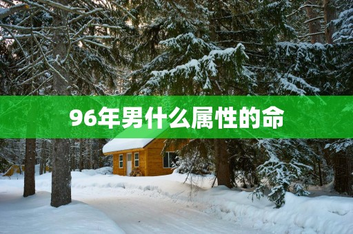 96年男什么属性的命
