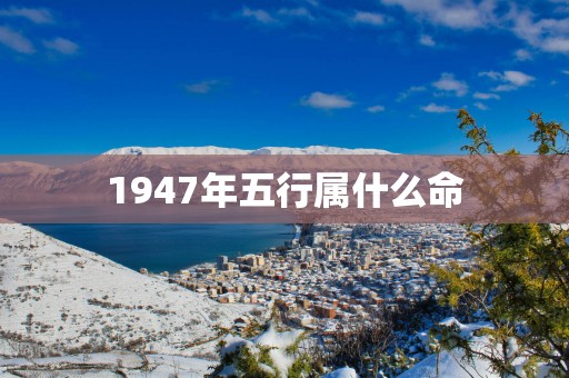 1947年五行属什么命