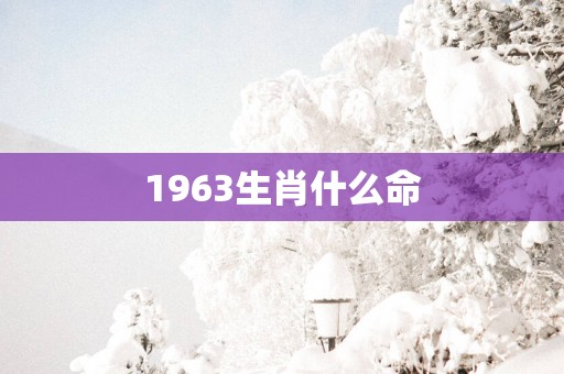 1963生肖什么命