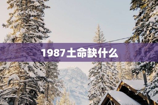 1987土命缺什么