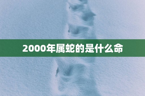 2000年属蛇的是什么命
