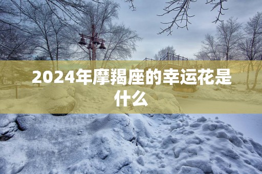 2025年摩羯座的幸运花是什么