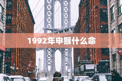 1992年申猴什么命