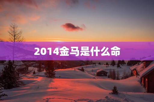 2014金马是什么命