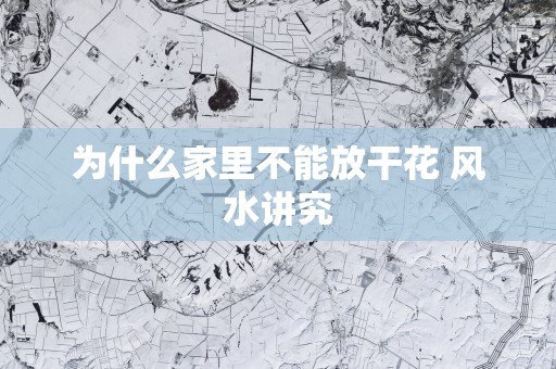 为什么家里不能放干花 风水讲究