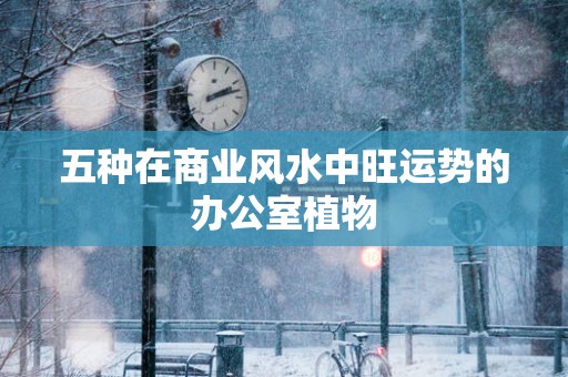 五种在商业风水中旺运势的办公室植物