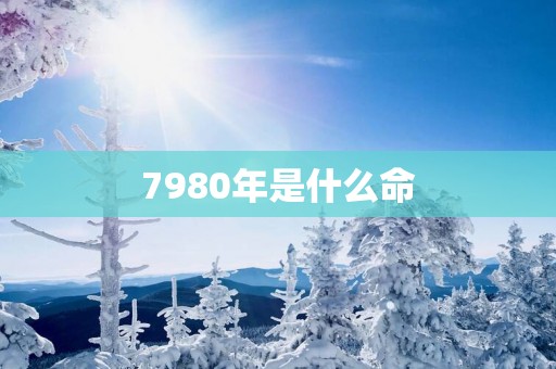 7980年是什么命