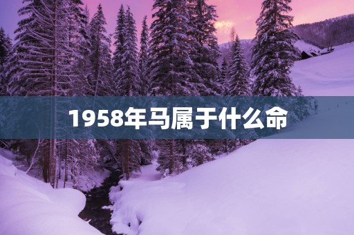 1958年马属于什么命
