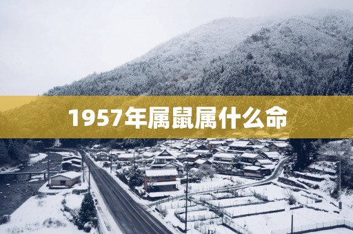1957年属鼠属什么命
